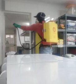 FUMIGACIONES Y SERVICIO